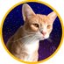 milkman! (@milkmanthecat) Twitter profile photo milkman! (@milkmanthecat) Twitter profile photo