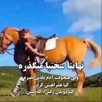 hamid (@hamid75489427) 's Twitter Profile