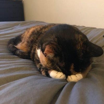 n4ned's profile picture. 