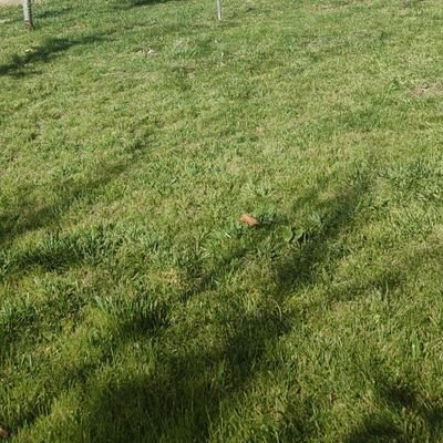 Sergio23413476's profile picture. ❤️💙