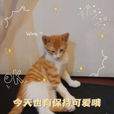 hnrn632178001's profile picture. A woker and try my best to complete my task