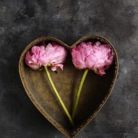 Rose Heart๐๐ ENTJโ๏ธ (@foooffoo14) 's Twitter Profile
