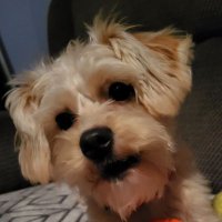 gallant (@gallant21099) 's Twitter Profile
