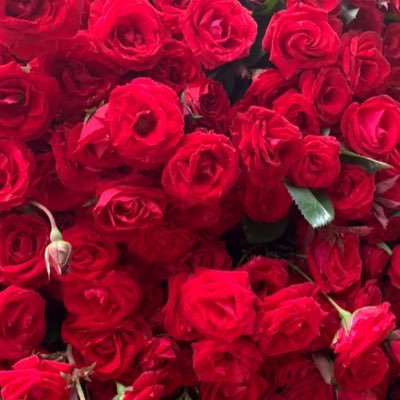 caseyummug's profile picture. 