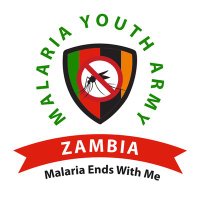 Zambia Malaria Youth Army (@zedmalariaarm) 's Twitter Profile
