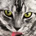 lethal-move2022 (@lmove2022) Twitter profile photo lethal-move2022 (@lmove2022) Twitter profile photo
