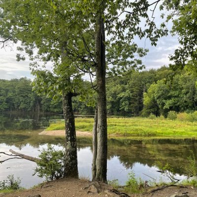 Everyone's favorite pond in Amherst, MA.