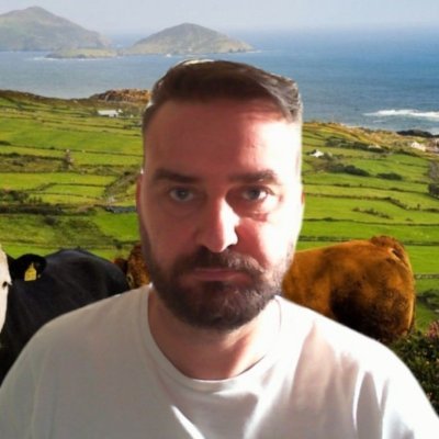 StiofanT's profile picture. 