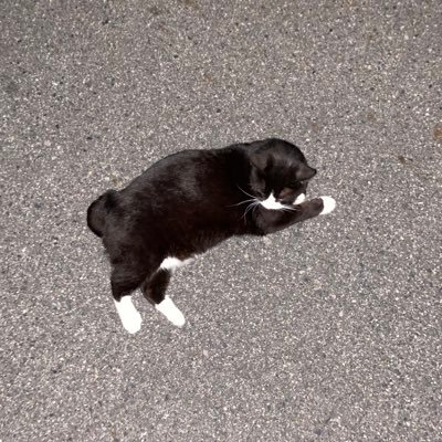 inaho_beauty's profile picture. 24歳 男 お笑い芸人箱推し 名古屋