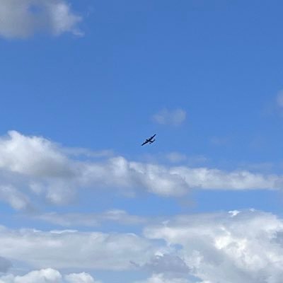 littleandyb's profile picture. 