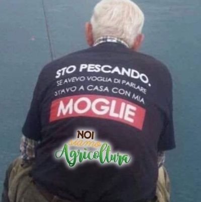 Alversys's profile picture. 