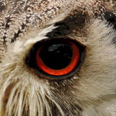 Care_Why_O's profile picture. Night...