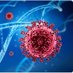 Journal of Molecular Biology: Open Access (@molecularopen) Twitter profile photo Journal of Molecular Biology: Open Access (@molecularopen) Twitter profile photo