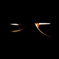 CANAL Transmedia (@transmediacanal) 's Twitter Profile