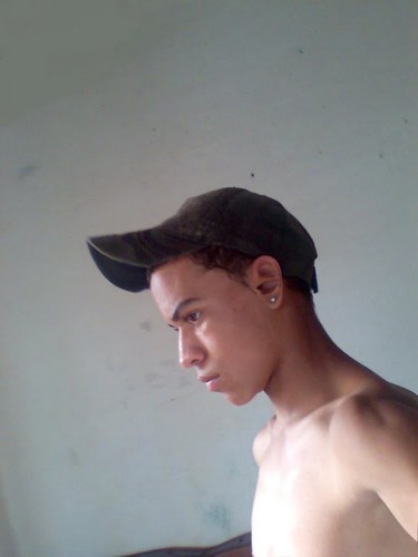 tecladistabq's profile picture. apenas um garoto