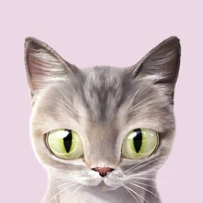 aof_u29's profile picture. 