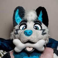AD_DragonWolf (@ad-dragonwolf.bsky.social) (@ad_dragonwolf) 's Twitter Profile