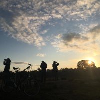 Vogeltrekinfo (@vogeltrekinfo) 's Twitter Profile