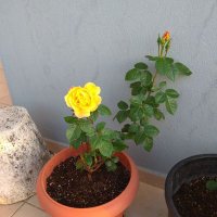 Geopap100 (Giorgos) (@geopap100) 's Twitter Profile Photo