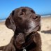Claire (@claireandfreyja) Twitter profile photo Claire (@claireandfreyja) Twitter profile photo