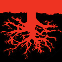 A people without the knowledge of their past history, origin and culture is like a tree without Roots
