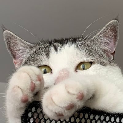 -Konkuriito-さんのプロフィール画像