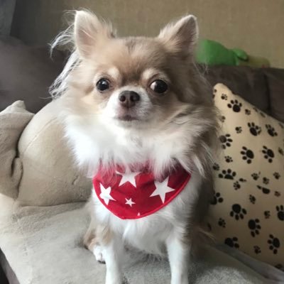 uDeZaBqW9QdEORe's profile picture. 