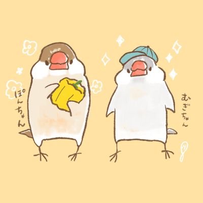 かいぬし:アヤと申します🙇│2016.12.18🎂シナモン文鳥♂ぽんず🐥、2020.5.27～2022.12.26シルバーイノ文鳥♂むぎ🌾🌈、イクメン夫、2018.6.20👦🏻息子との生活│アラフォー会社員│最近低浮上気味ですが元気です│画: @hayakawa0230 さん