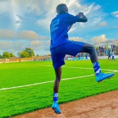 Marcelo44407045's profile picture. 