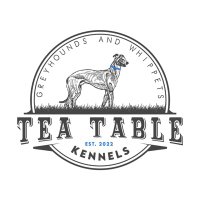 Tea Table Sporting Kennels(@teatablekennels) 's Twitter Profile Photo