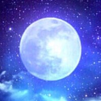 TKM.com (@psggv4) Twitter profile photo