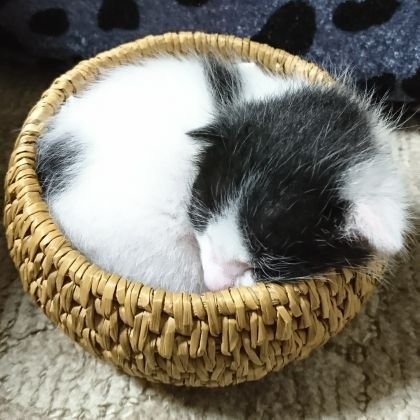 bb2be993a8084cc's profile picture. 