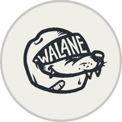 Walane 🏍さんのプロフィール画像