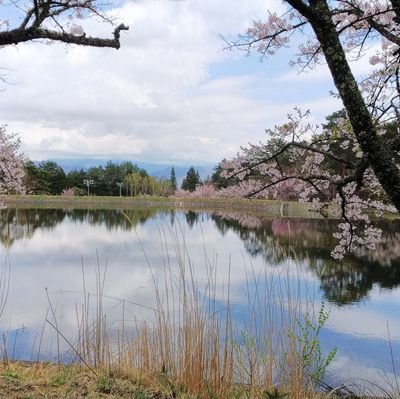 田村R Profile