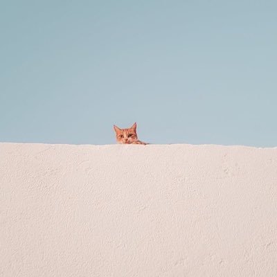 sa5w5's profile picture. زوالُ ليلٍ وبزوغ فجر  |  Graphic Design