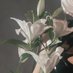 竹林Bambu (@neko3cat1024) Twitter profile photo 竹林Bambu (@neko3cat1024) Twitter profile photo
