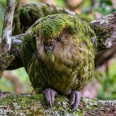 🌳樹木と小さな草花が大好き🌲
🌸気ままにのんびりと☺️

無言フォロー失礼します。