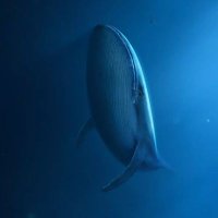 rendgg (@dcql4naditvk77c) 's Twitter Profile