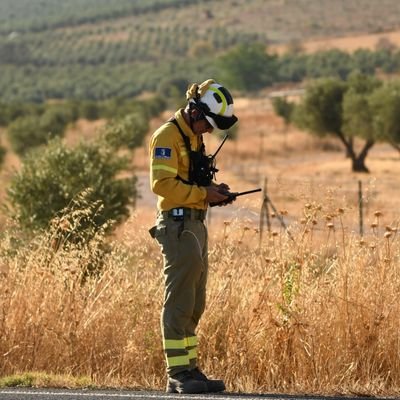 Técnico de Incendios Forestales INFOCAM. Ciudad Real. MásterFUEGO. 
Opiniones y comentarios sólo personales.