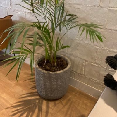 bdallhfhd15's profile picture. جمال الوجه من جمال الروح وجمال الحياة من القناعة وجمال العلاقات من جمال المحيا