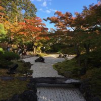 さとこう (@sat0076) 's Twitter Profile