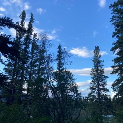 LifeOfPip's profile picture. Notes on the life and times of a professional geek. Nothing longer or more explicit, so I called myself Pip. she/her