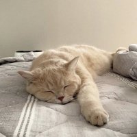 kyla (@changeiic) 's Twitter Profile