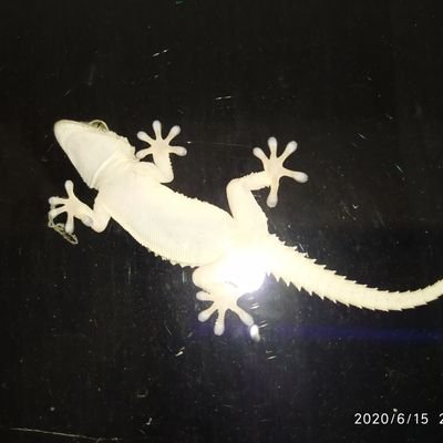 CrampOpen's profile picture. 