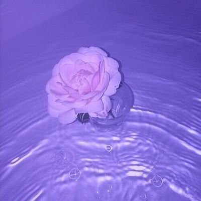 Purpsaさんのプロフィール画像