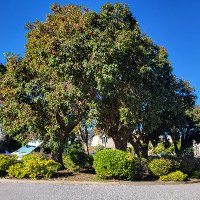 andrew sparks (@apsparks) 's Twitter Profile