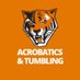 Buffalo State Acrobatics and Tumbling (@bengalsacrotumb) Twitter profile photo Buffalo State Acrobatics and Tumbling (@bengalsacrotumb) Twitter profile photo