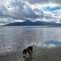 Maire (@am_i_nat) 's Twitter Profile