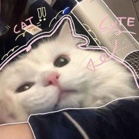บอฟอฟอบอ🌻 (@sxsx_kt) 's Twitter Profile