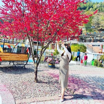 pragateeAdh's profile picture. Down to earth but still above you🥰